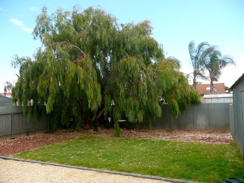 5 Ebert Street, Whyalla Norrie, Whyalla SA 5600