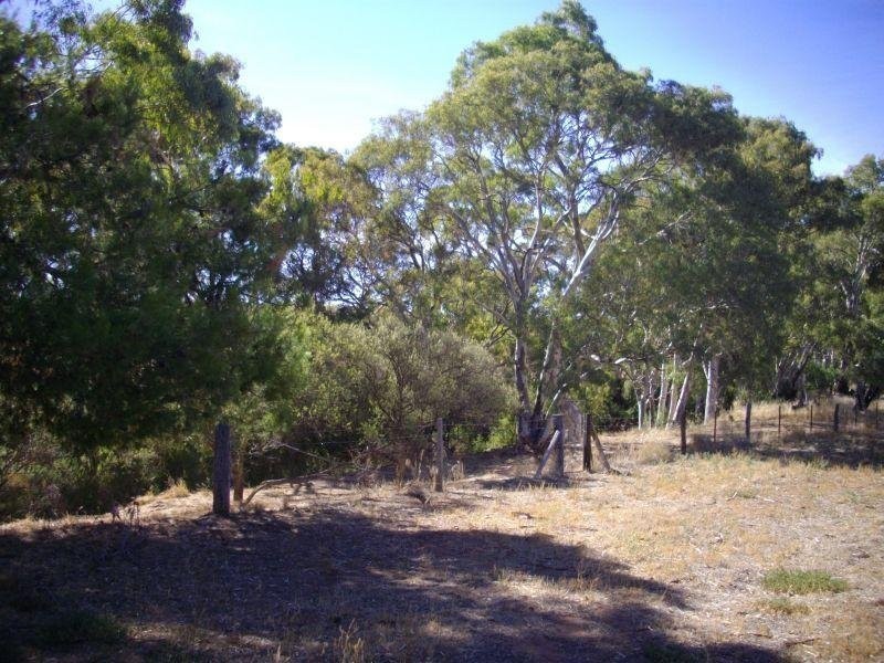 Sec 439 Main North Road, Wirrabara SA 5481