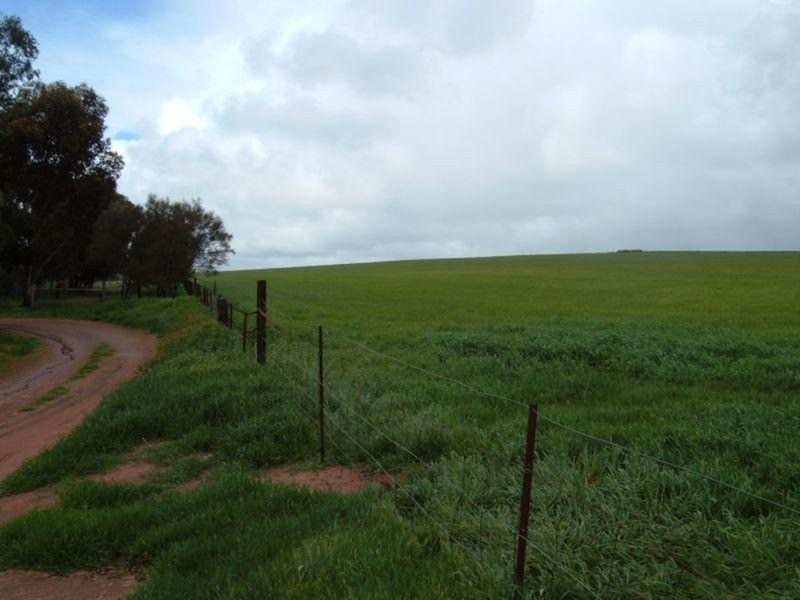 Lot 145 Matthew Street, Gladstone SA 5473