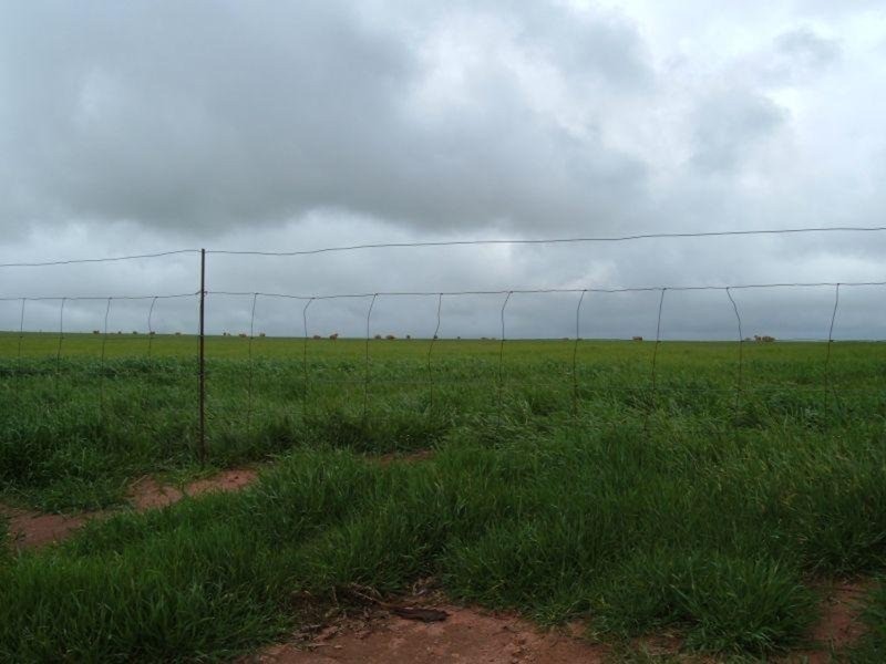 Lot 145 Matthew Street, Gladstone SA 5473