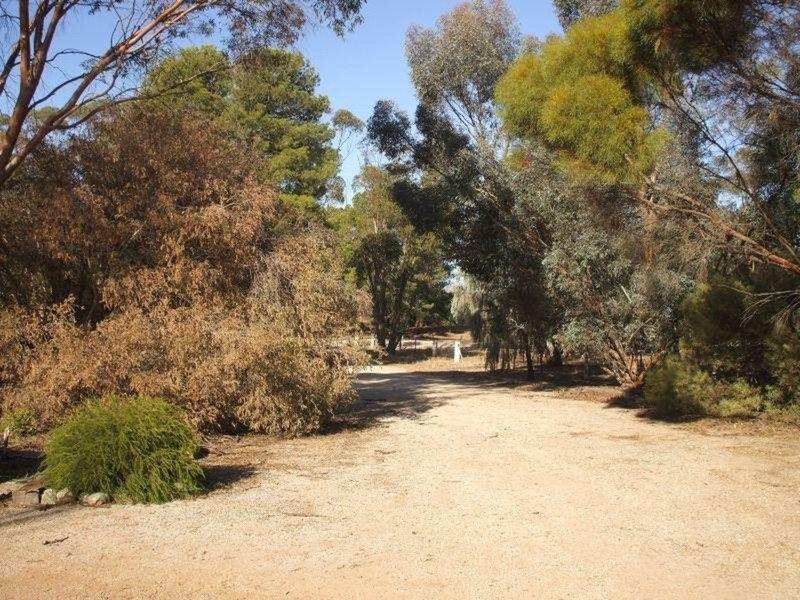 10 Hollywood Road, Gladstone SA 5473