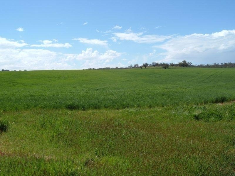 “Ippinichie”, Main Road, Wirrabara SA 5481