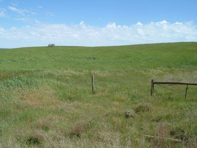 “Ippinichie”, Main Road, Wirrabara SA 5481