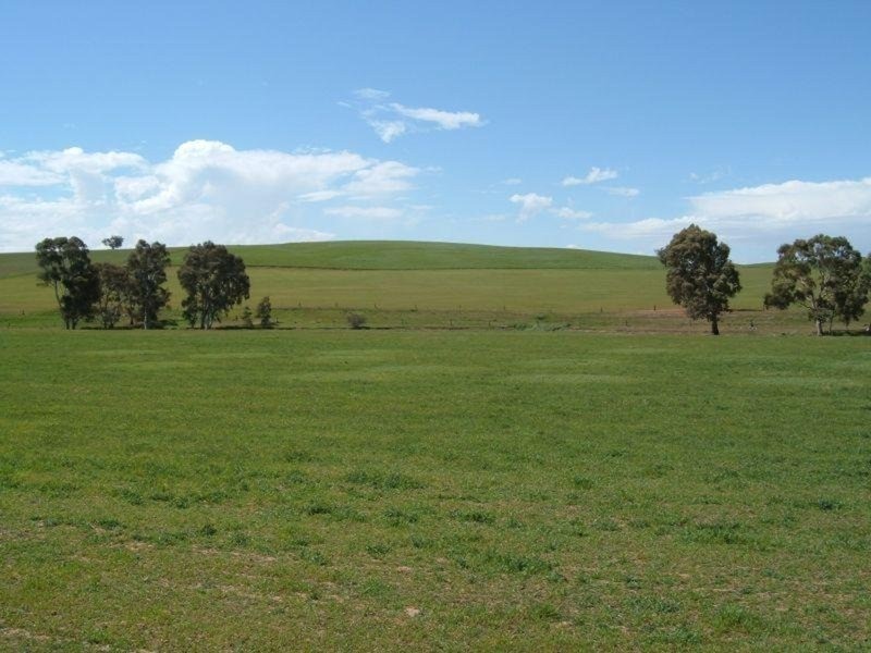 “Ippinichie”, Main Road, Wirrabara SA 5481