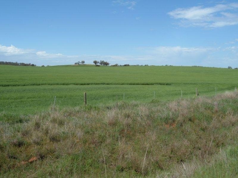 “Ippinichie”, Main Road, Wirrabara SA 5481