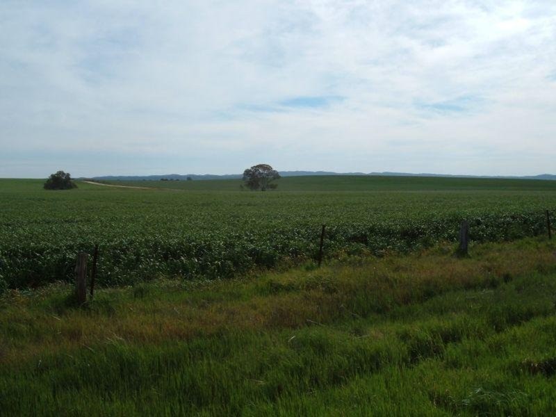 “Ippinichie”, Main Road, Wirrabara SA 5481