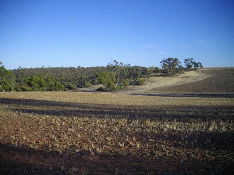 Beetaloo Heights Via, Gladstone SA 5473