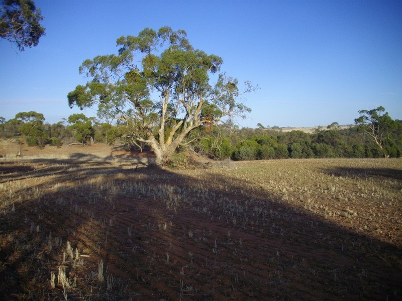“Beetaloo Heights” Via, Gladstone SA 5473