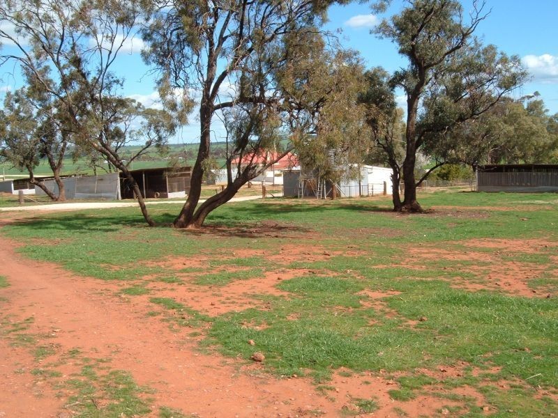 Fullerville Jacka’s Road, Booleroo Centre SA 5482