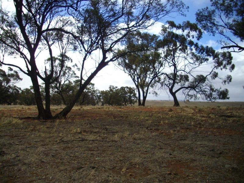 Fullerville Jacka’s Road, Booleroo Centre SA 5482
