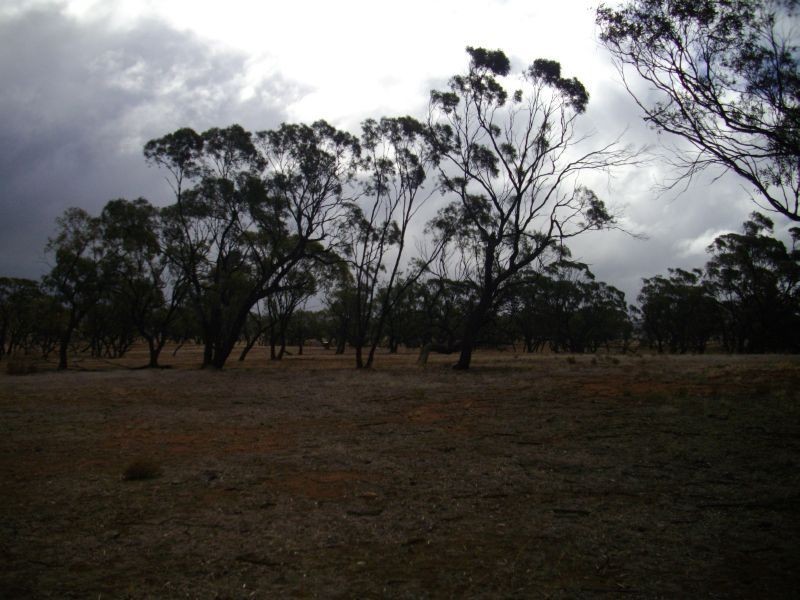 Fullerville Jacka’s Road, Booleroo Centre SA 5482