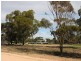 Lot 21 Hawk Crescent, Port Broughton SA 5522