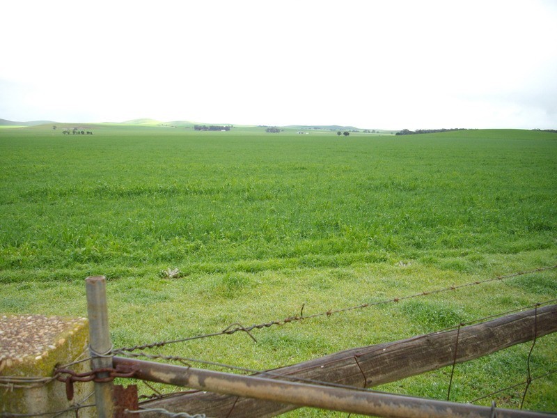 Sec 588 And 742 Hundred Hanson, Leighton SA 5417