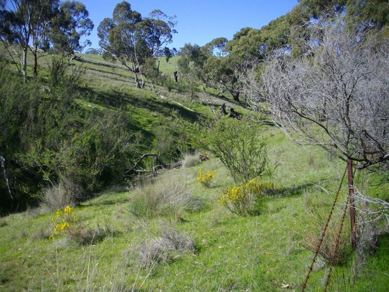 Beetaloo Valley Via Laura, Laura SA 5480