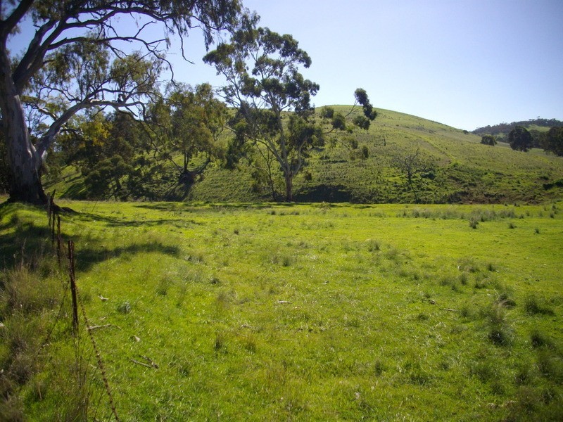 Beetaloo Valley Via Laura, Laura SA 5480