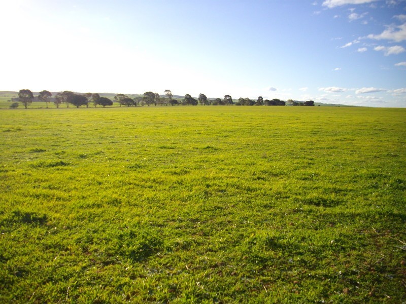 Pine Creek Via, Laura SA 5480