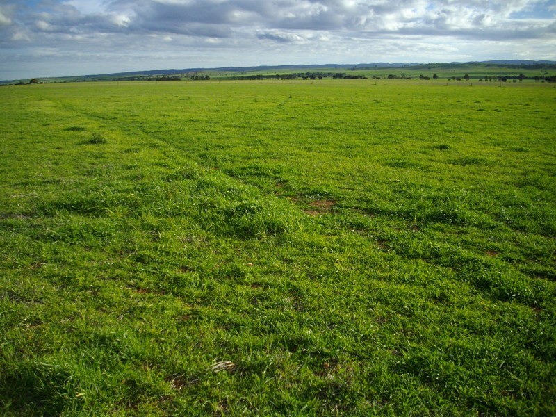 Pine Creek Via, Laura SA 5480