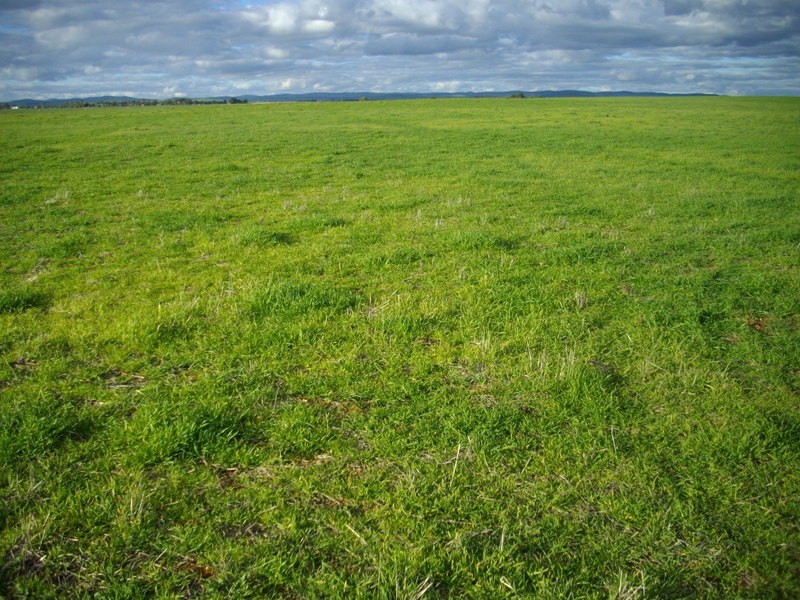 Pine  Creek Via, Laura SA 5480