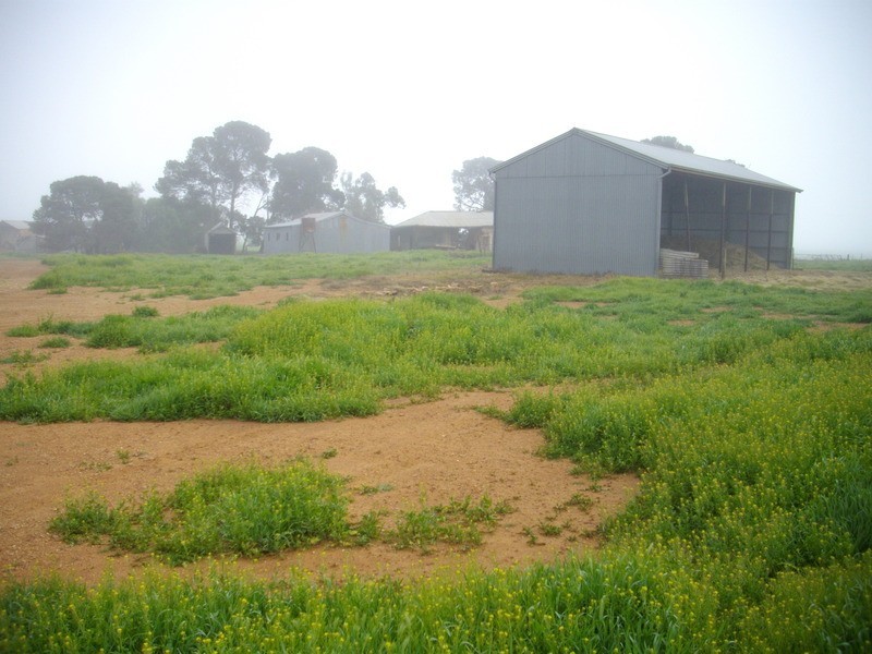 Laura/ Appila Road, Laura SA 5480