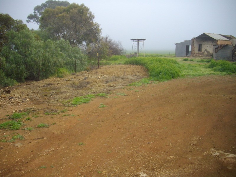 Laura/ Appila Road, Laura SA 5480