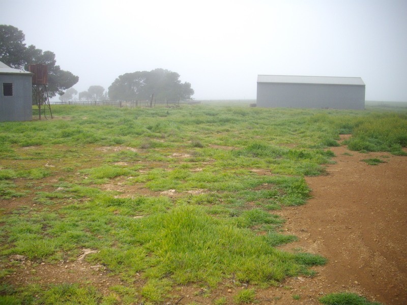 Laura/ Appila Road, Laura SA 5480