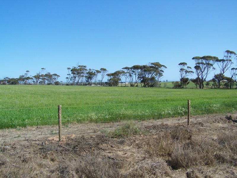 Lot 3 Dale Road – Cnr Bute Road, Port Broughton SA 5522