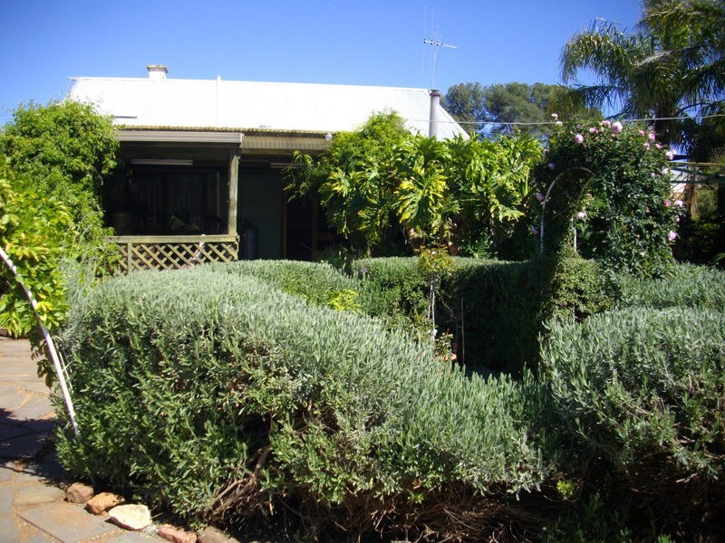 41 Sixth Street, Gladstone SA 5473