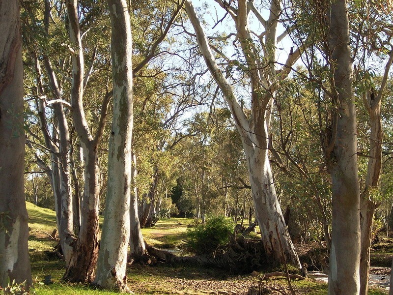 Stonehut Via Laura, Laura SA 5480