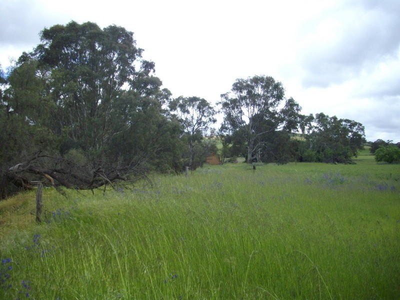 Stonehut Via Laura, Laura SA 5480