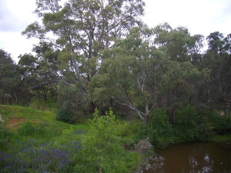 Stonehut Via Laura, Laura SA 5480