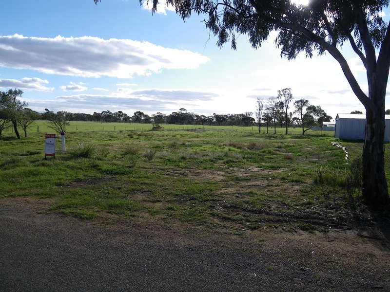 Lot 206 Bowman Street, Crystal Brook SA 5523