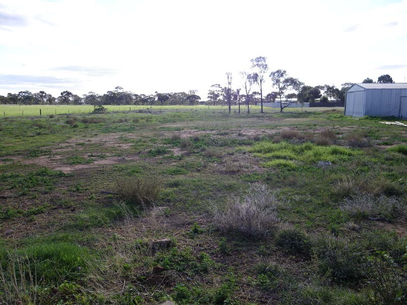 Lot 206 Bowman Street, Crystal Brook SA 5523