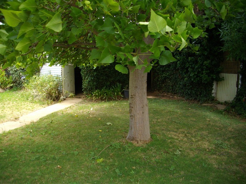 65 Mitchell Street, Crystal Brook SA 5523