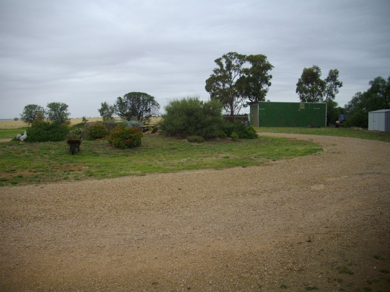 3 Tom Catt Hill Road, Laura SA 5480