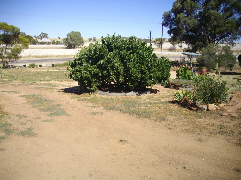 28-29 Tinline Street, Murray Town SA 5481