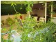 11 Giles Street, Crystal Brook SA 5523