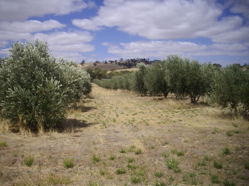 Stone Hut Flinders Ranges, Stone Hut SA 5480