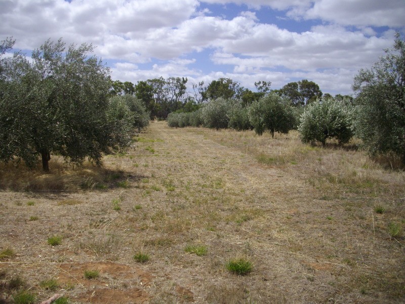 Stone Hut Flinders Ranges, Stone Hut SA 5480