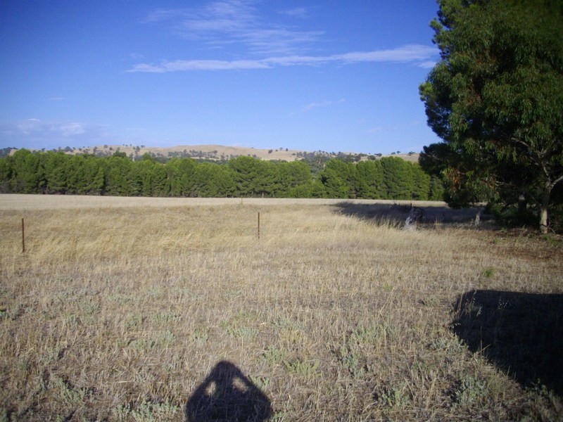 Lot 170 West Terrace, Wirrabara SA 5481