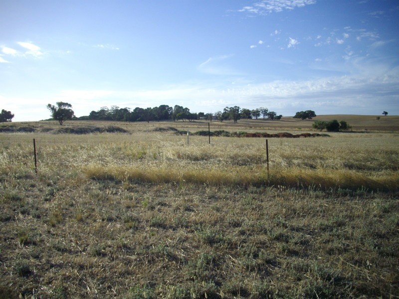 Lot 170 West Terrace, Wirrabara SA 5481