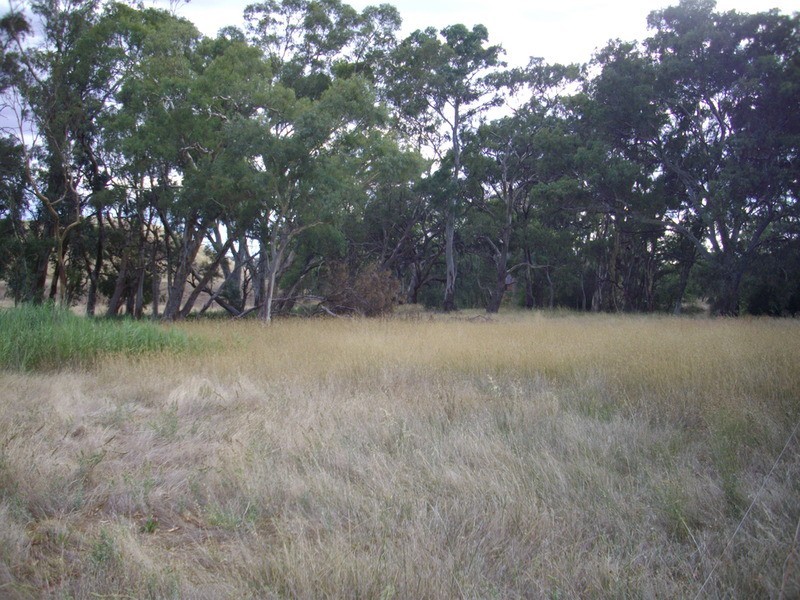 Lot 767, Wirrabara SA 5481