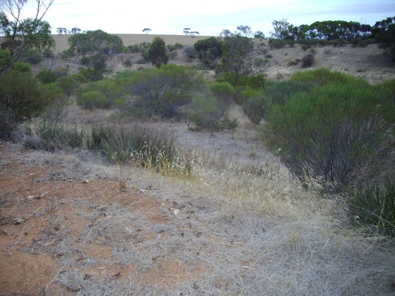 Milcowie Road, Crystal Brook SA 5523