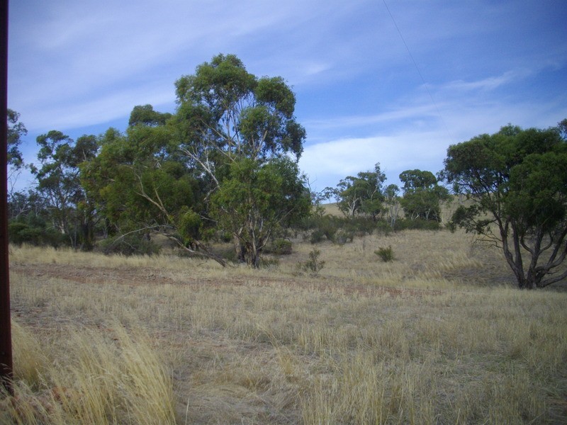 Section 357 Hundred Of Booyoolie, Laura SA 5480