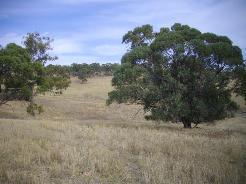 Section 357 Hundred Of Booyoolie, Laura SA 5480