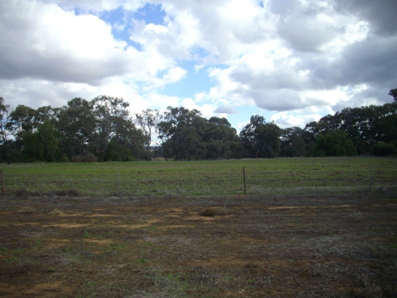 45 West Terrace, Laura SA 5480