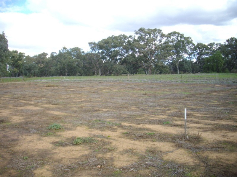 45 West Terrace, Laura SA 5480