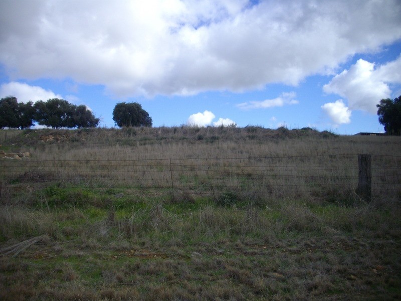 Allotment 32 Tinline Street, Murray Town SA 5481