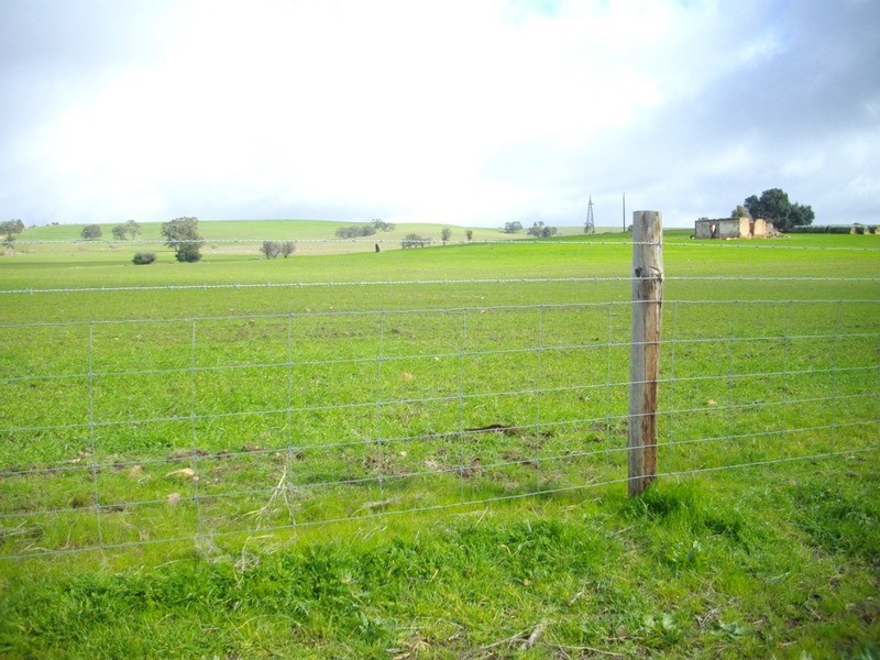 West Laura Farming, Laura SA 5480