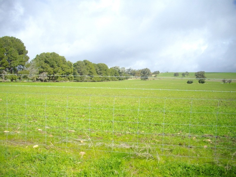 West Laura Farming, Laura SA 5480