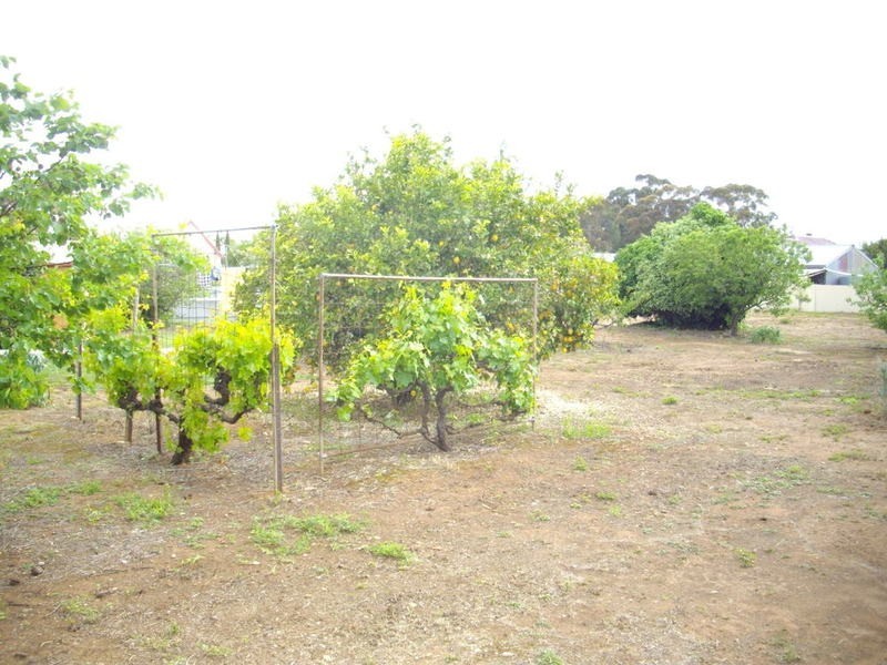 26 Booyoolie Street, Laura SA 5480